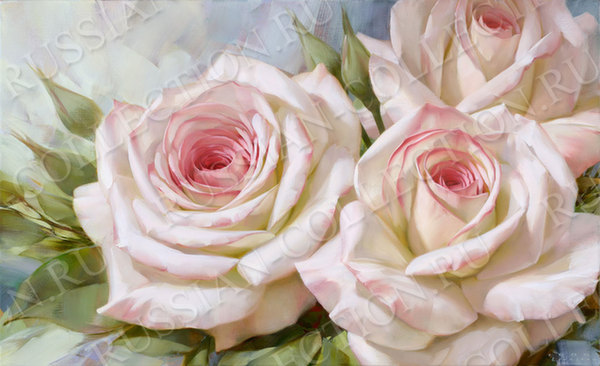 Репродукция в раме (Бело-розовые розы, 70х50)